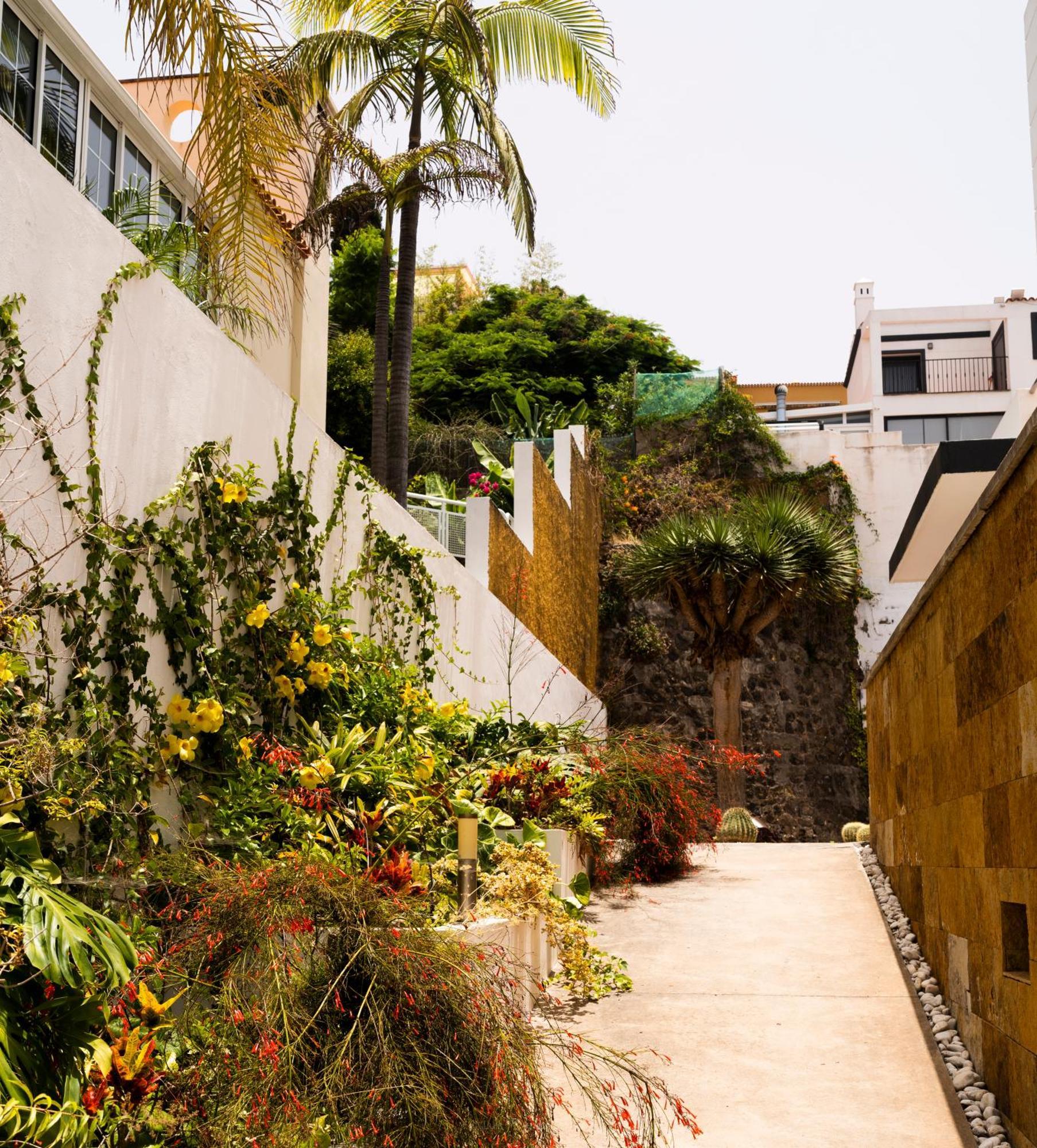 Villa Laurisilva Sauzal Exterior foto